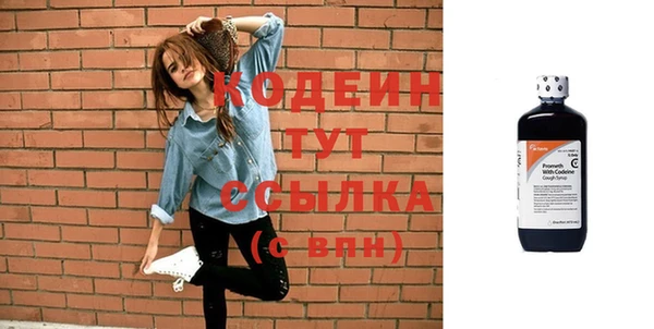 индика Бугульма