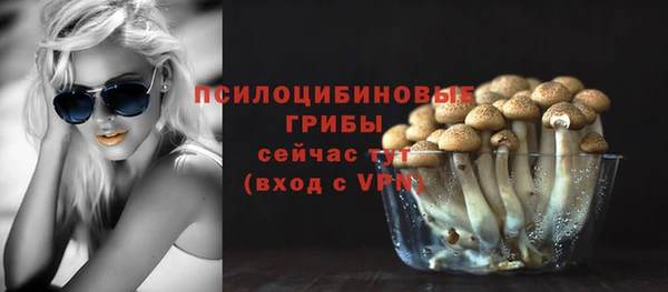 индика Бугульма
