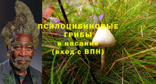 мескалин Бронницы