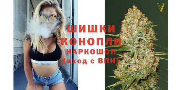индика Бугульма